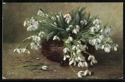 Künstler-AK Raphael Tuck & Sons Nr. 895: Blühende Schneeglöcken in einem Korb