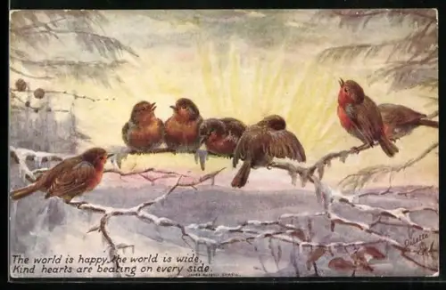 Künstler-AK Raphael Tuck & Sons Nr. 9169: Rotkehlchen auf einem verschneiten Zweig