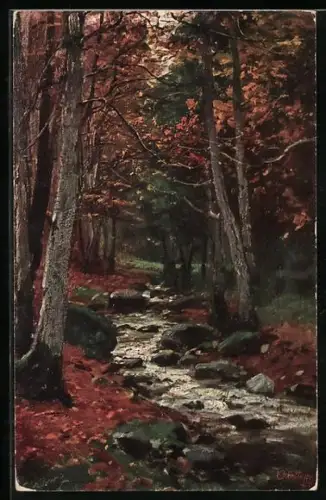 Künstler-AK Wohlgemuth & Lissner, Primus-Postkarte No.824: Partie im Wald