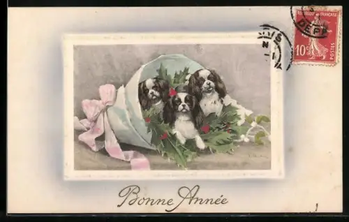 Künstler-AK V.K., Vienne Nr. 5065: Drei Hunde in einer Papiertüte, Neujahrsgruss