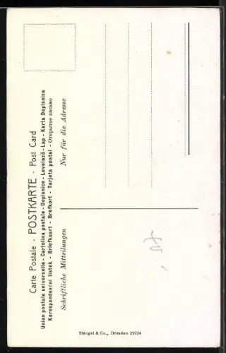 Künstler-AK Stengel & Co. Nr. 29724: Frau mit geflochtenem Haar