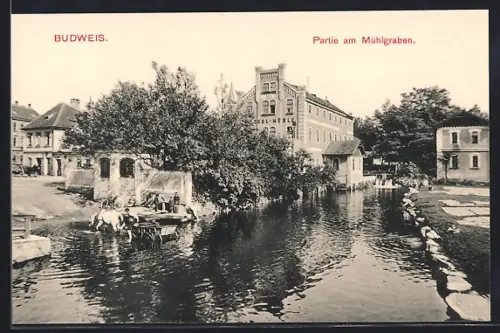 AK C. Budejovice, Partie na mlýnské `stoce