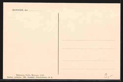 AK C. Budejovice, Partie na mlýnské `stoce