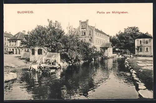 AK C. Budejovice, Partie na mlýnské `stoce