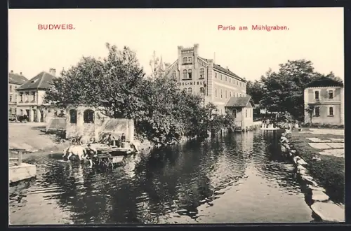 AK C. Budejovice, Partie na mlýnské `stoce