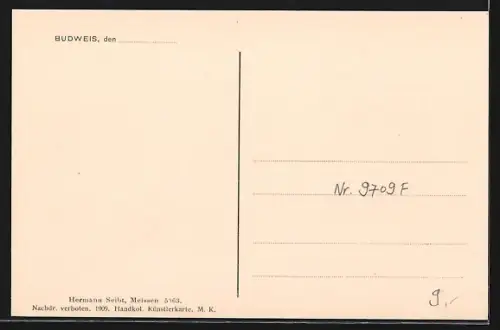 AK C. Budejovice, Partie na mlýnské `stoce