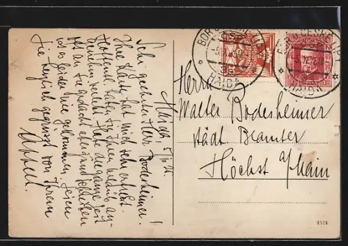 AK Haida, Totalansicht