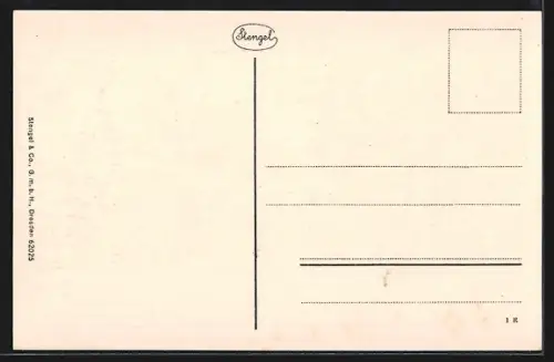 AK Freudenstadt, Partie in der Traubenstrasse