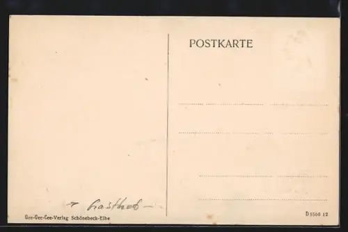 AK Plötzky, Gasthof Alte Fähre, Panorama