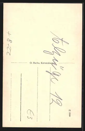 AK Habighorst, weidende Heidschnucken, Bienenstand in der Heide