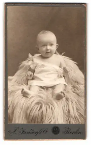 Fotografie A. Jandorf & Co, Berlin, Bellealliancestr. 1/2, Porträt eines Kleinkindes auf einem Fell