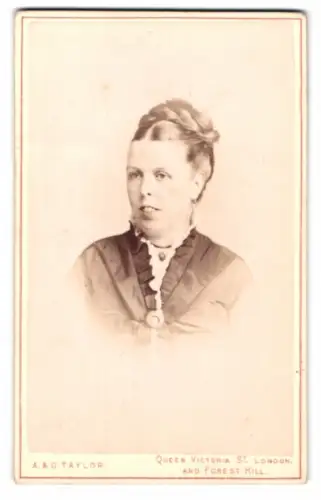 Fotografie A. & G. Taylor, London, Queen Victoria St, Porträt einer Dame