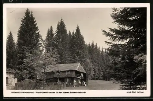AK Höllental /Schwarzwald, Waldhüterhäuschen in der oberen Ravennaschlucht