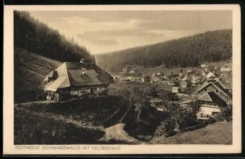 AK Todtmoos /Schwarzwald, Ortsansicht mit Felsenhaus