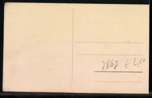 AK Todtmoos /Schwarzwald, Ortsansicht mit Felsenhaus