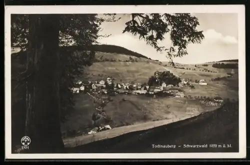 AK Todtnau /Schwarzwald, Todtnauberg