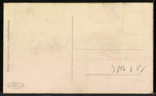 AK Waldkirch / Breisgau, Teilansicht des Ortes