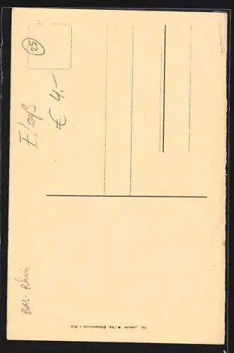 AK Wissembourg, Monument bavier dans un cadre arboré et entouré d`une grille