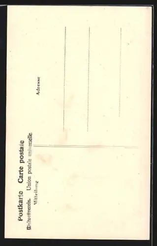 AK Strassburg, Altes Haus