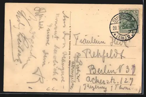 AK Strassburg, Palmenhaus in der Orangerie