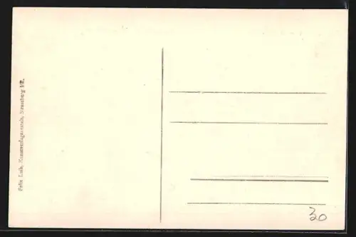 AK Schlettstadt, Vue générale