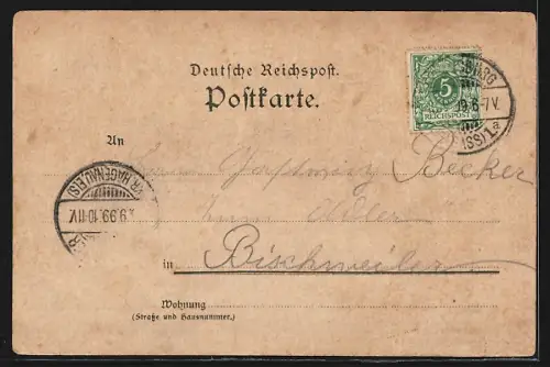 Lithographie Strassburg, Kaiserl. Palais, Münster, Kleberplatz