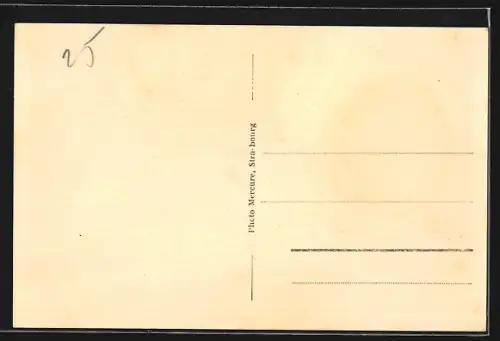 AK Niederroedern /Bas-Rhin, Château Fleckenstein entouré d`arbres majestueux