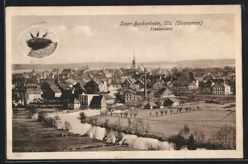 AK Saar-Buckenheim /Els., Flusspartie im Ort, Storchennest