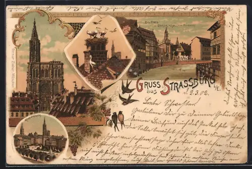 Lithographie Strassburg i. E., Münster, Kleberplatz, Storchennest