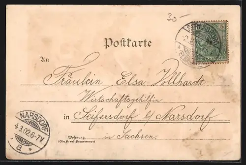 Lithographie Strassburg i. E., Münster, Kleberplatz, Storchennest