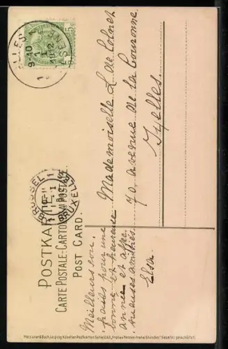 Künstler-AK Meissner & Buch (M&B) Serie 1263: Mann auf Brücke beobachtet Schwäne