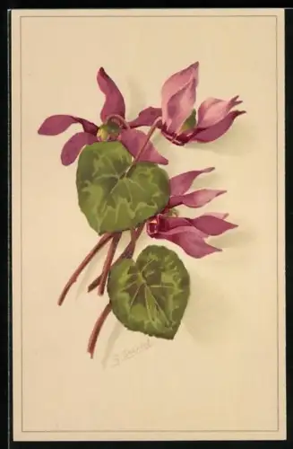 Künstler-AK Meissner & Buch (M&B) Nr. 2059: schöne Schnittblumen am Stiel