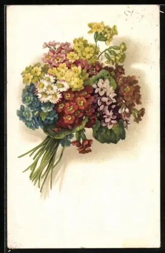 Künstler-AK Meissner & Buch (M&B) Nr. 2427: Margeriten und Primeln im Bund