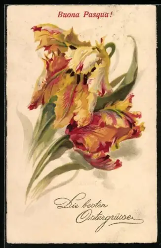 Künstler-AK Meissner & Buch (M&B) Nr. 2808: Gelb-rote Blumen, Ostergruss