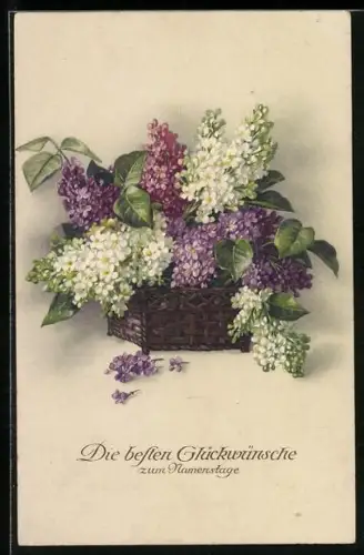 Künstler-AK Meissner & Buch (M&B) Nr. 2341: Korb mit Blumen, Glückwunsch zum Namenstag