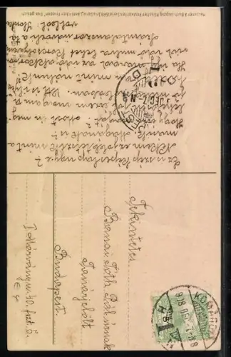 Künstler-AK Meissner & Buch (M&B) Nr. 1569: Bäuerin mit Kälbern