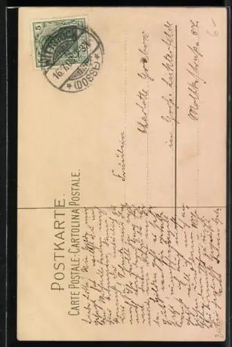 Künstler-AK Catharina Klein: Vase mit rosa Nelken, grüne und rote Trauben, aufgeschnittener Granatapfel