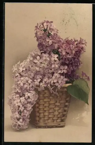 Künstler-AK Meissner & Buch (M&B) Serie 1788: Korb voll Flieder