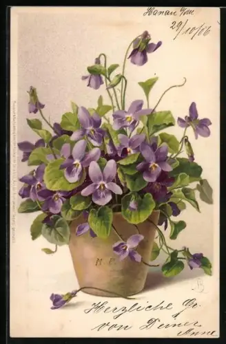 Künstler-Lithographie Meissner & Buch (M&B) Nr. 1240: Aus der Blumenwelt, Veilchen