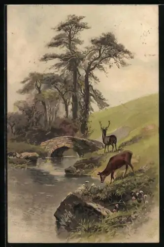 Künstler-AK Meissner & Buch (M&B) Nr. 1404: Hirsch und Hirschkuh am Ufer