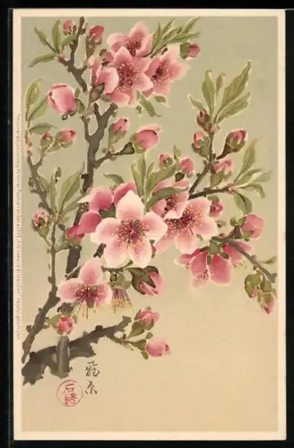 Künstler-AK Meissner & Buch (M&B) Nr. 1345: Aus Japans Blütenflor