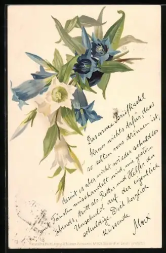 Künstler-AK Meissner & Buch (M&B) Nr. 1029: Von der Alm, Enzian