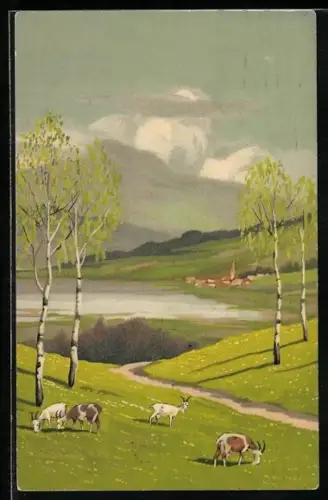 Künstler-AK Meissner & Buch (M&B) Nr.1585: Ziegen auf einer Wiese