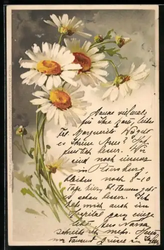 Künstler-AK Meissner & Buch (M&B) Nr. 1195: Margeritenstrauss