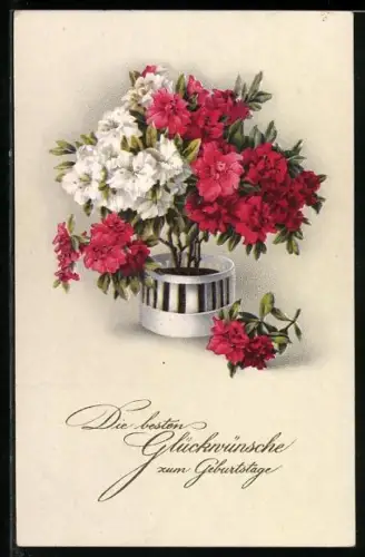 Künstler-AK Meissner & Buch (M&B) Nr.2436: Blumen im Topf