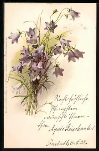 Künstler-AK Meissner & Buch (M&B) Nr. 1135: Glockenblumen