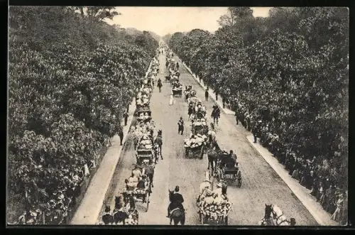AK Wien, Wiener Prater, Hauptallee mit Pferdewägen