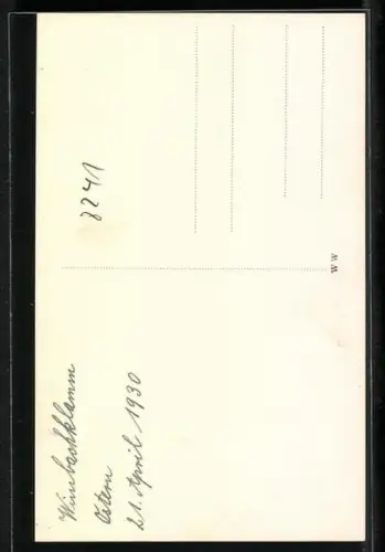 AK Bergführer mit Seil und Wanderstock vor einem Wasserfall