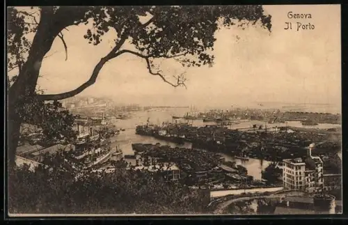 AK Genova, Il Porto