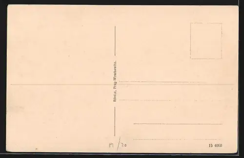 AK Pilsen, Mestské divadlo